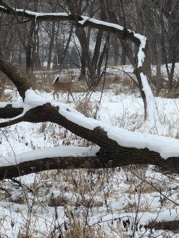 General Mills Nature Preserve - Image 1