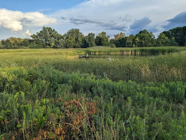 General Mills Nature Preserve - Image 2