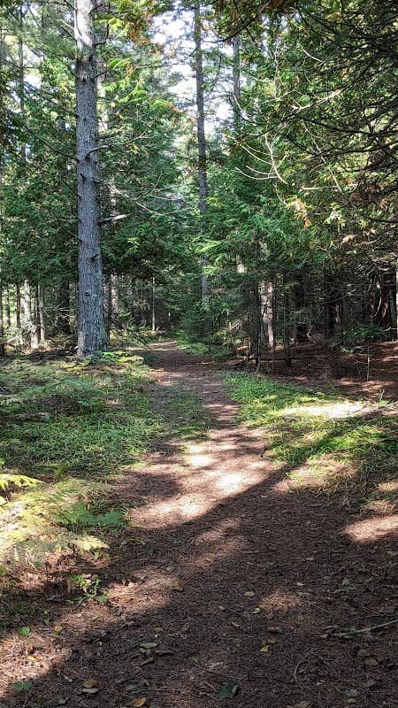 Vosper Nature Preserve - Image 2