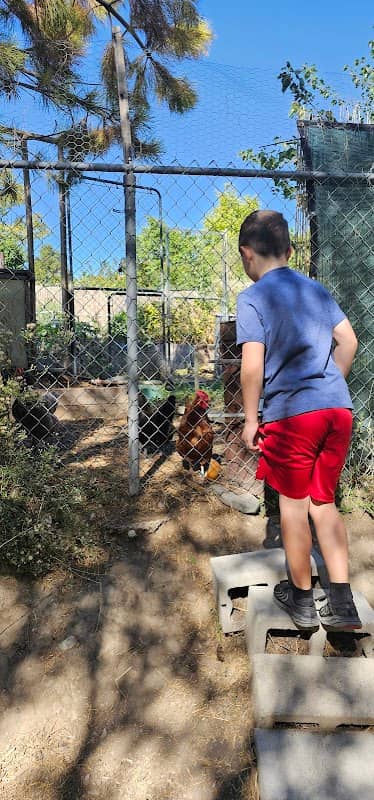 Shalimar Park - Image 1