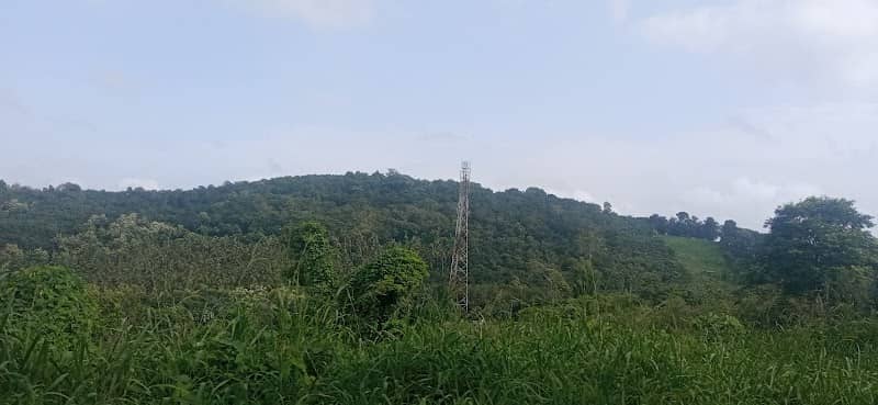 Malaparambu view point - Image 1