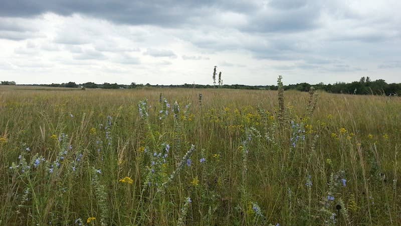 Little Osage Prairie Natural Area - Image 1