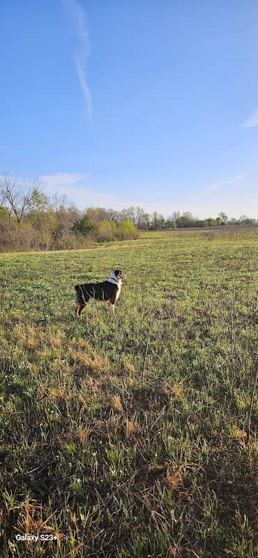 Little Osage Prairie Natural Area - Image 2