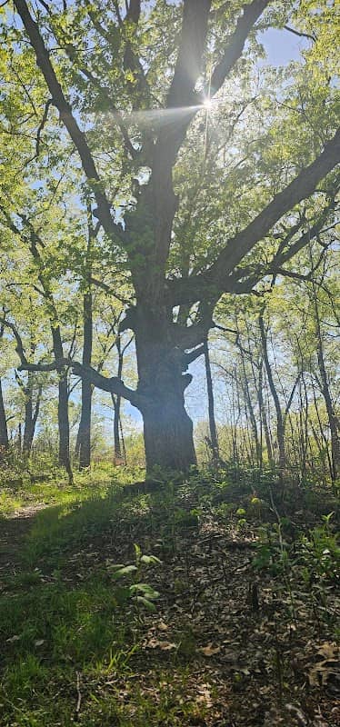 Stoutsburg Savanna Nature Preserve Parking Area - Image 3