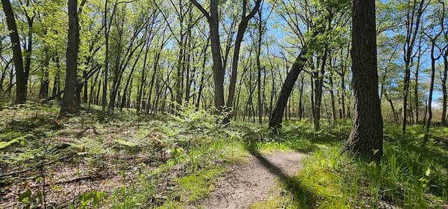 Stoutsburg Savanna Nature Preserve Parking Area - Image 2