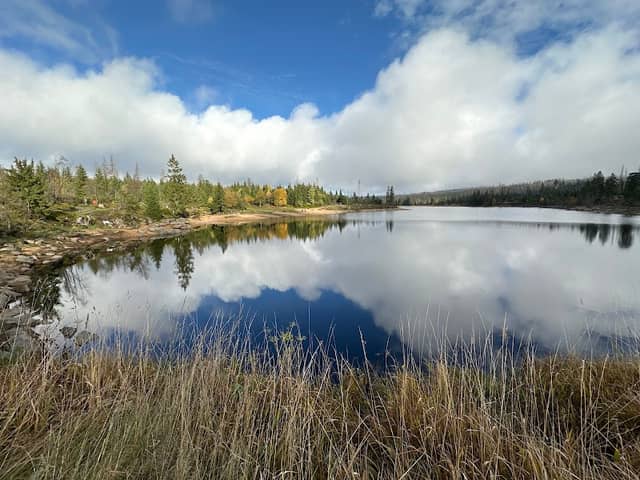 National Park Harz - Image 1