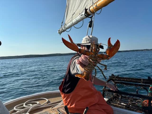 Sail Muscongus Day Tours - Image 2