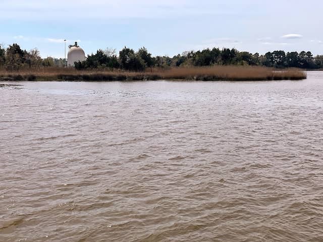 Goat Island - Image 1