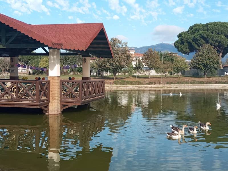 Tahir Çaylı Pool Park - Image 1