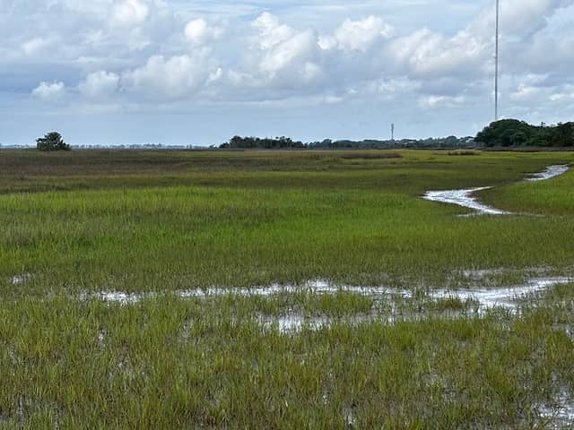 Marsh View Trail - Image 2