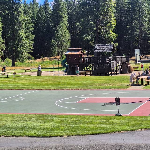 Dawson Park - Image 2