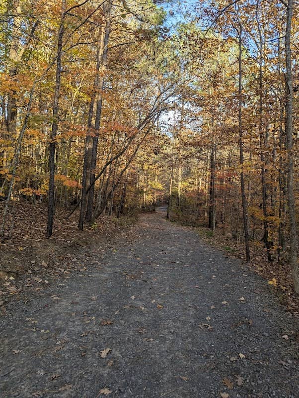 Edwards Park - Image 2