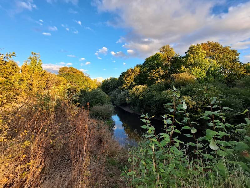 Marys River Natural Area - Image 1
