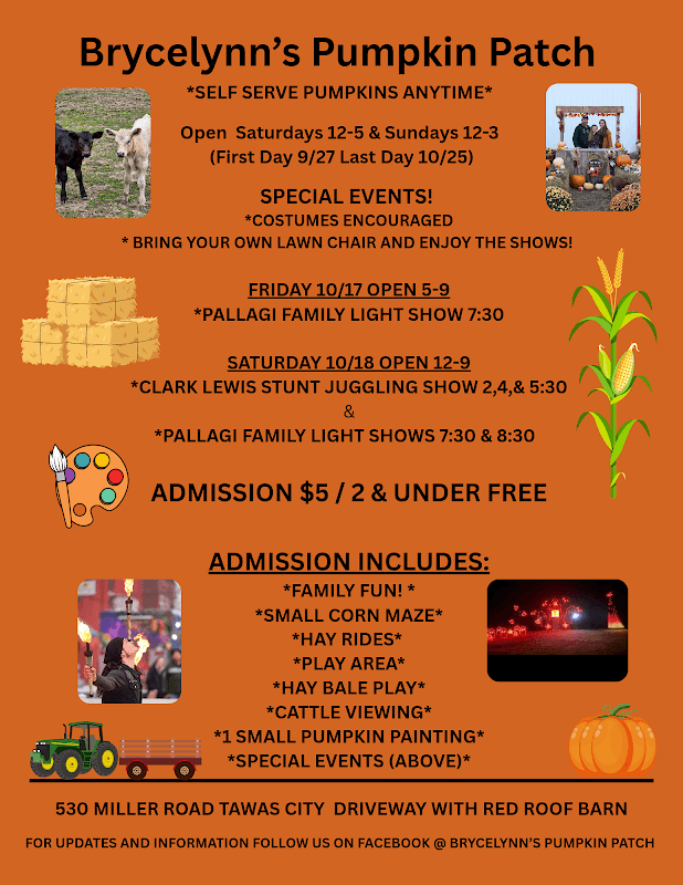 Brycelynn's Pumpkin Patch - Image 1