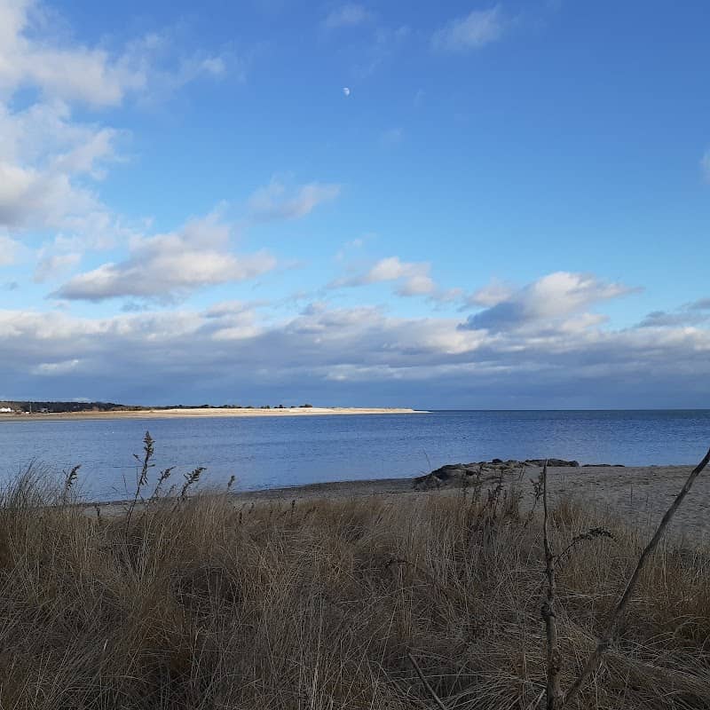 Sampsons Island Wildlife Sanctuary - Image 2