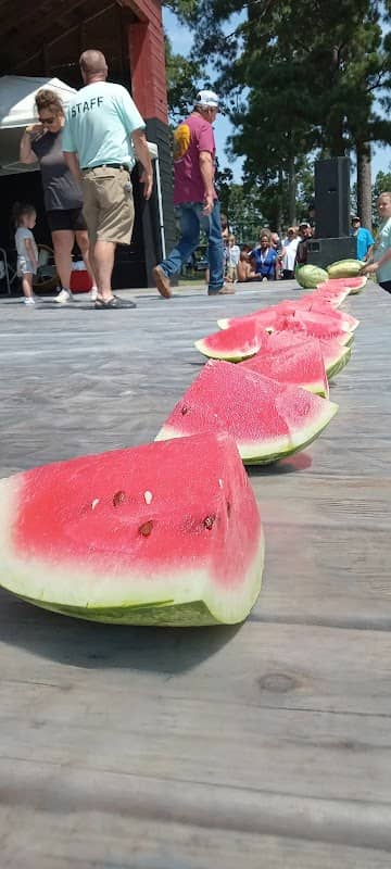 Hope Watermelon Festival - Image 1