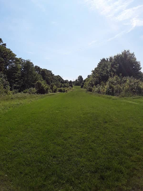 Rondy Farm - Image 2