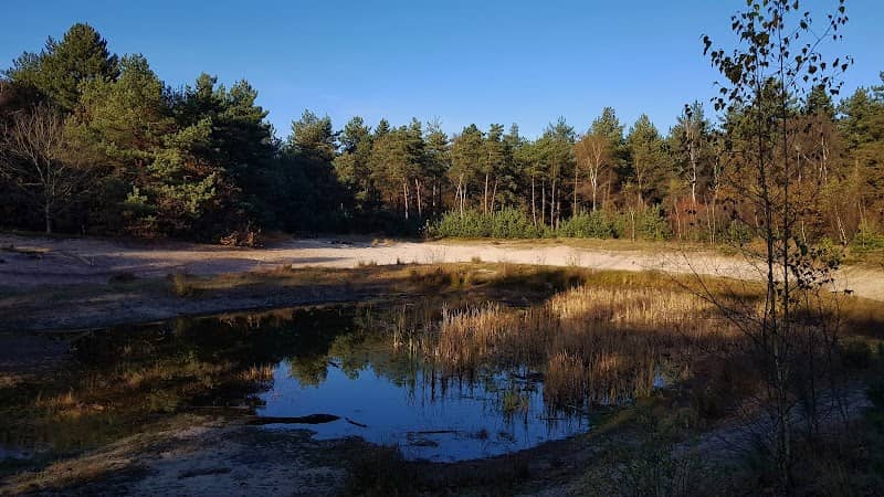Walsbergsbos - Image 1