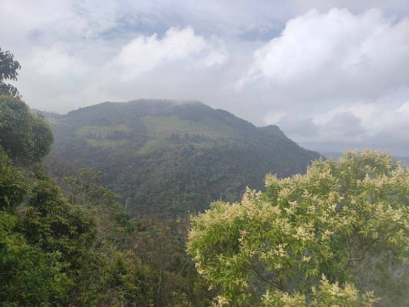 Lamb's Rock Tea Garden View Point - Image 3