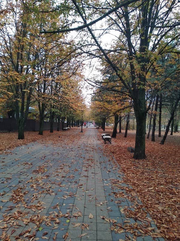 Park "Pleven" - Image 1