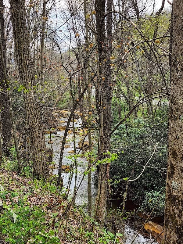 WV Northern Rail-Trail: Kingwood Trailhead Park - Image 1