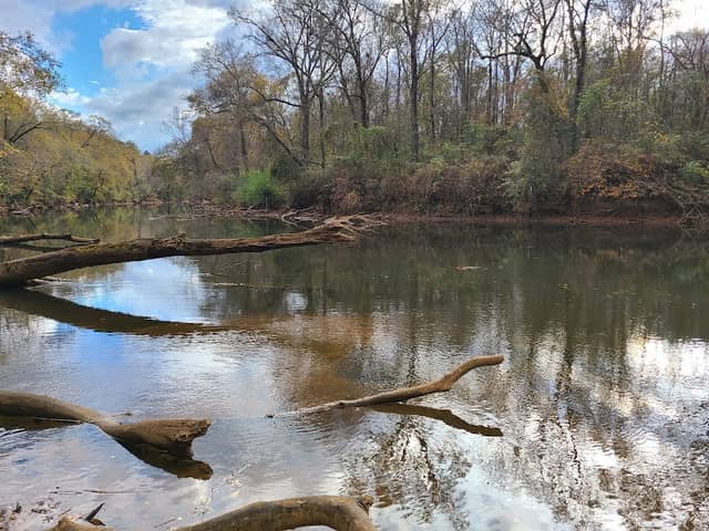 Etowah Trail - Image 2