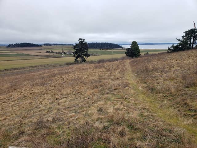 Ebey Lookout info spot - Image 3