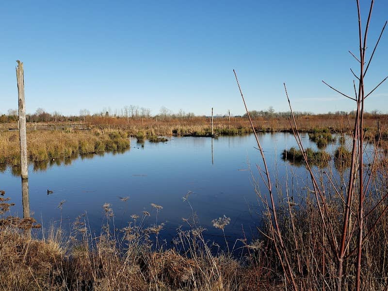 Fernhill Wetlands - Image 1