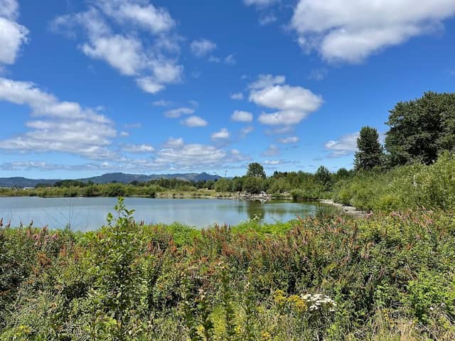 Fernhill Wetlands - Image 3