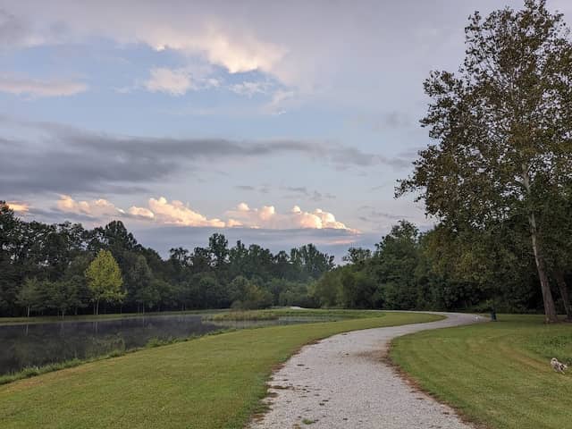 Patrick Square Pond - Image 2