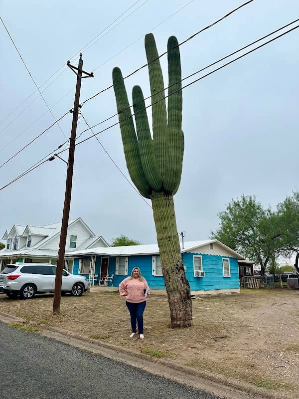 Giant Saguaro of San Ygnacio - Image 1