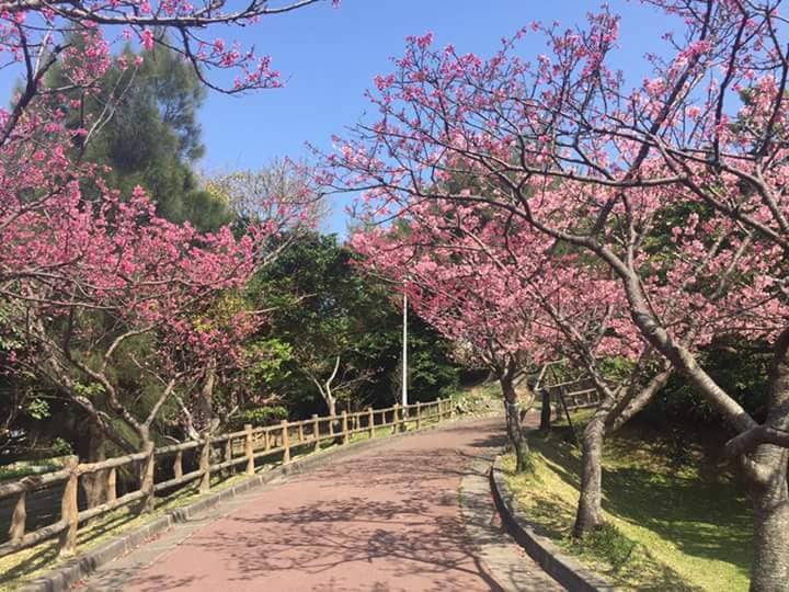 Kakazu Takadai (Hilltop) Park - Image 3
