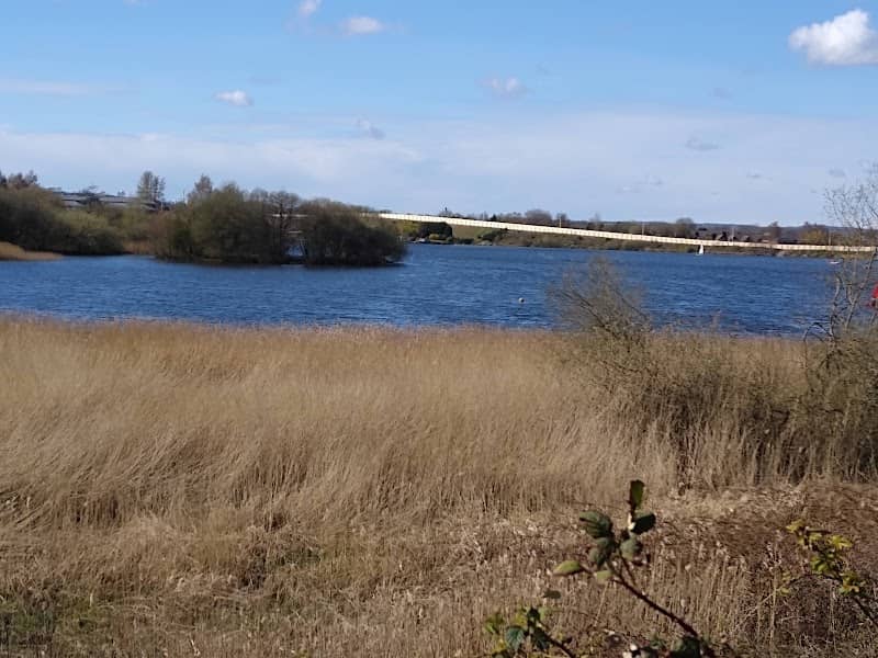 Wigan Flashes Local Nature Reserve - Image 2