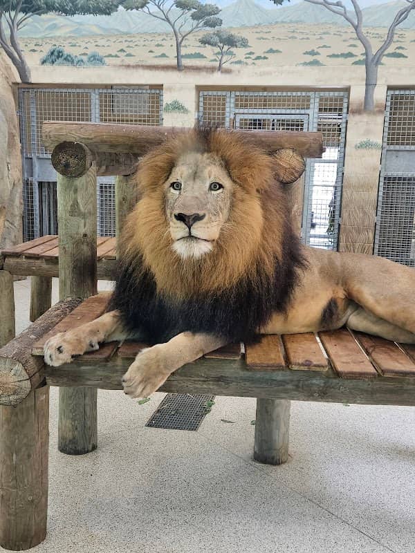 Potawatomi Zoo - Image 1
