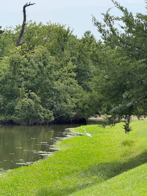 Piedmont Park - Image 1