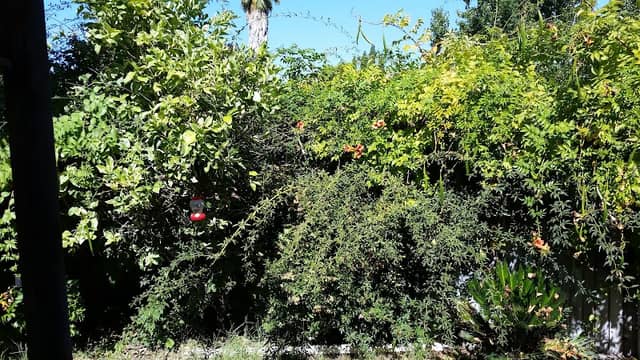 Hrepich Park - Image 2