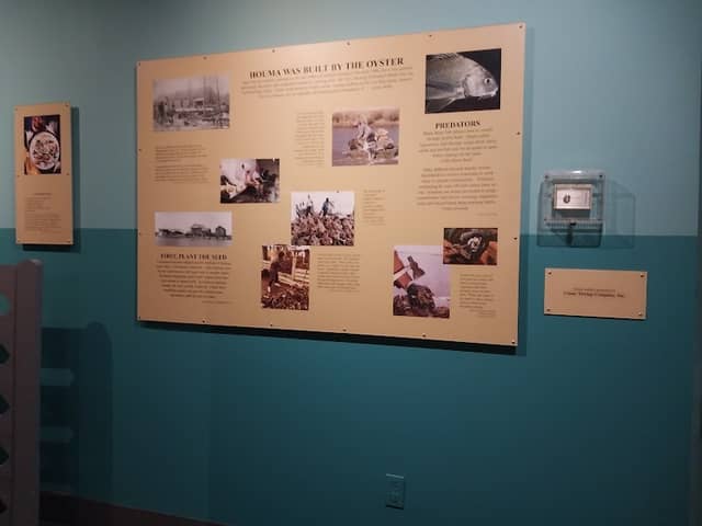 Bayou Terrebonne Waterlife Museum - Image 2