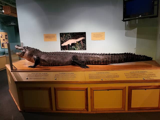 Bayou Terrebonne Waterlife Museum - Image 3