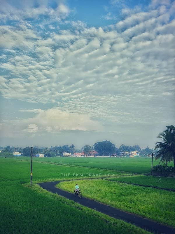 വളവ് (മുനാപ്പി മുക്ക് ) - Image 2