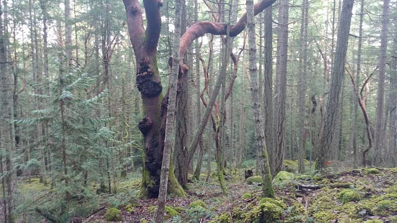 Arbutus Grove Provincial Park - Image 2