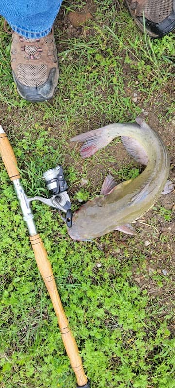 Osage City Lake - Image 1