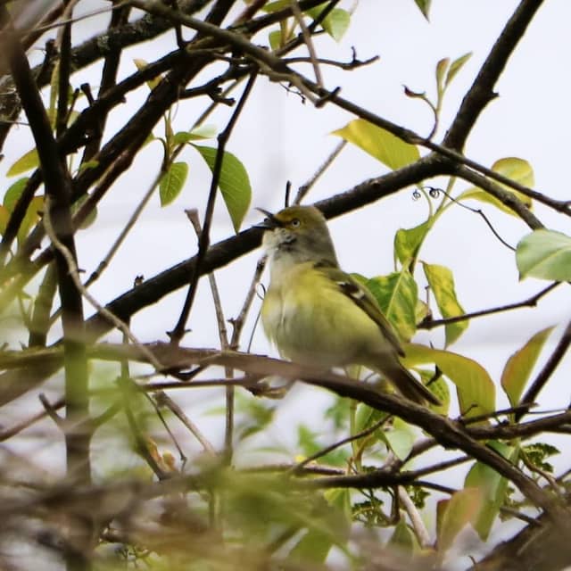 Feek County Park - Image 2