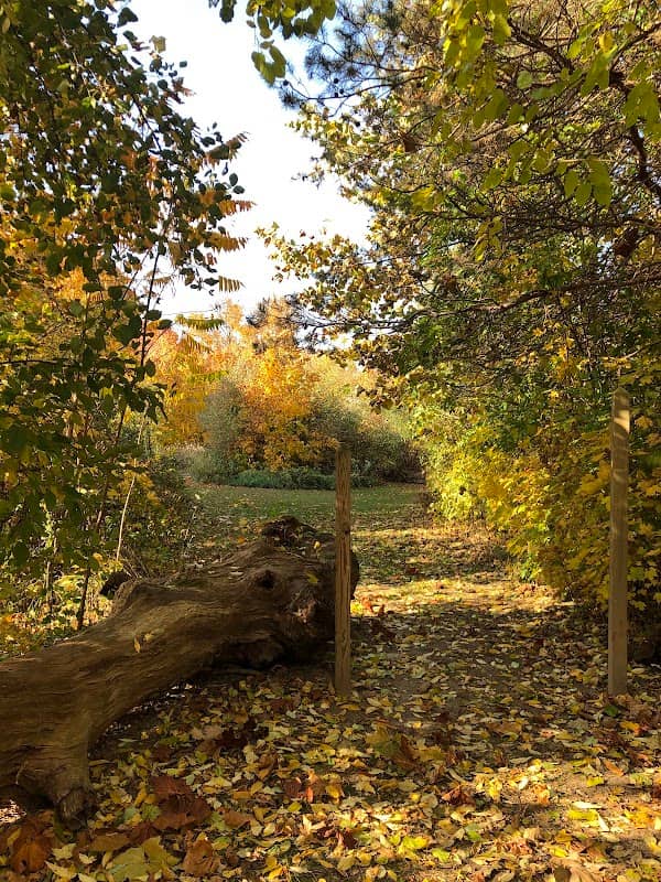 Feek County Park - Image 1