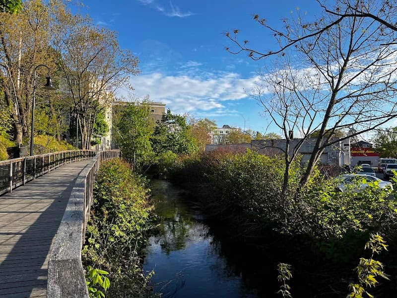 Bungay River Walk - Image 1