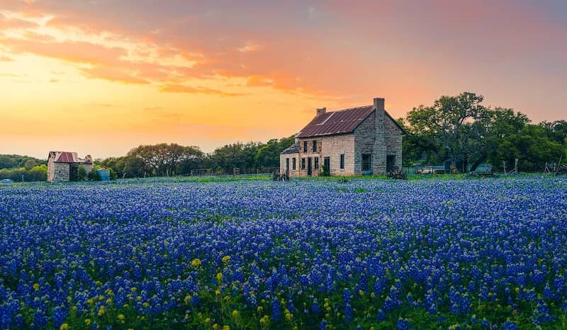 Bluebonnet House - Image 1