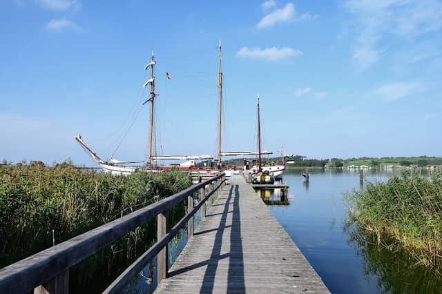Seesteg Neppermin - Image 1