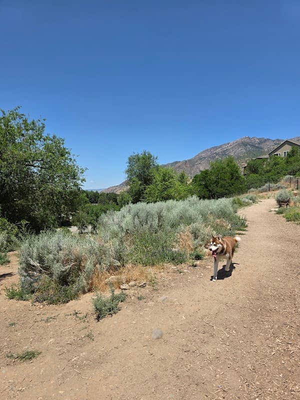 Ferguson Park - Image 1