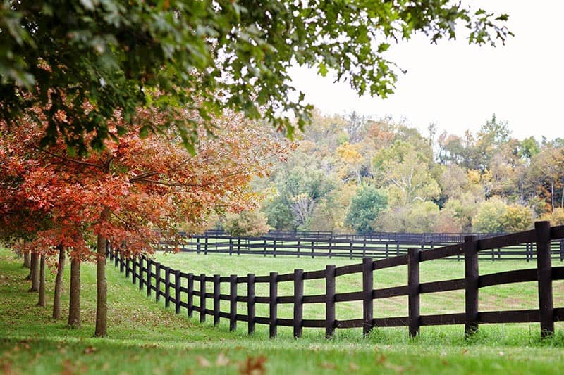 Saxony Farm - Image 1