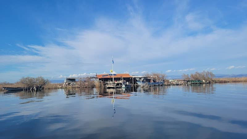 DELTA EVROS EXPLORER - Image 2