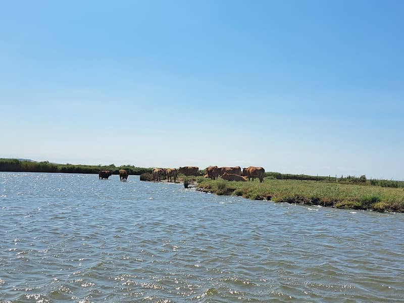 DELTA EVROS EXPLORER - Image 3